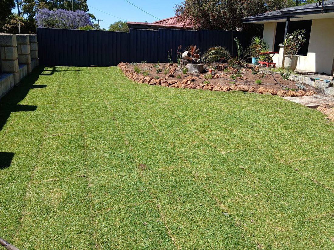 Lawn Restoration after Kizzas Contracting finished