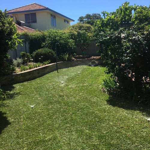 Long backyard lawn mown in even stripes