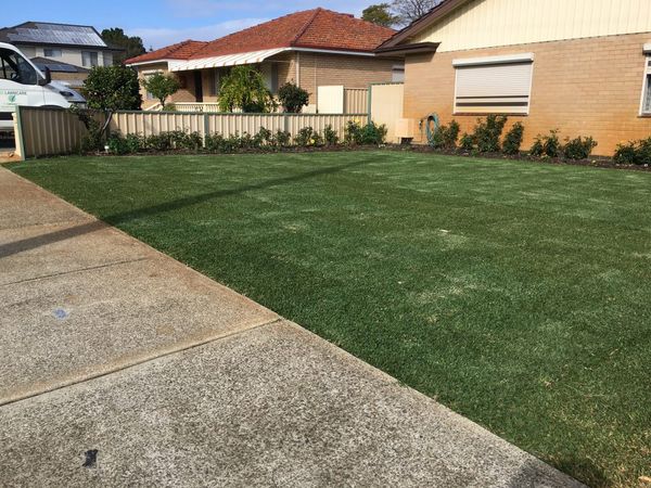 Freshly mown front lawn beside a driveway